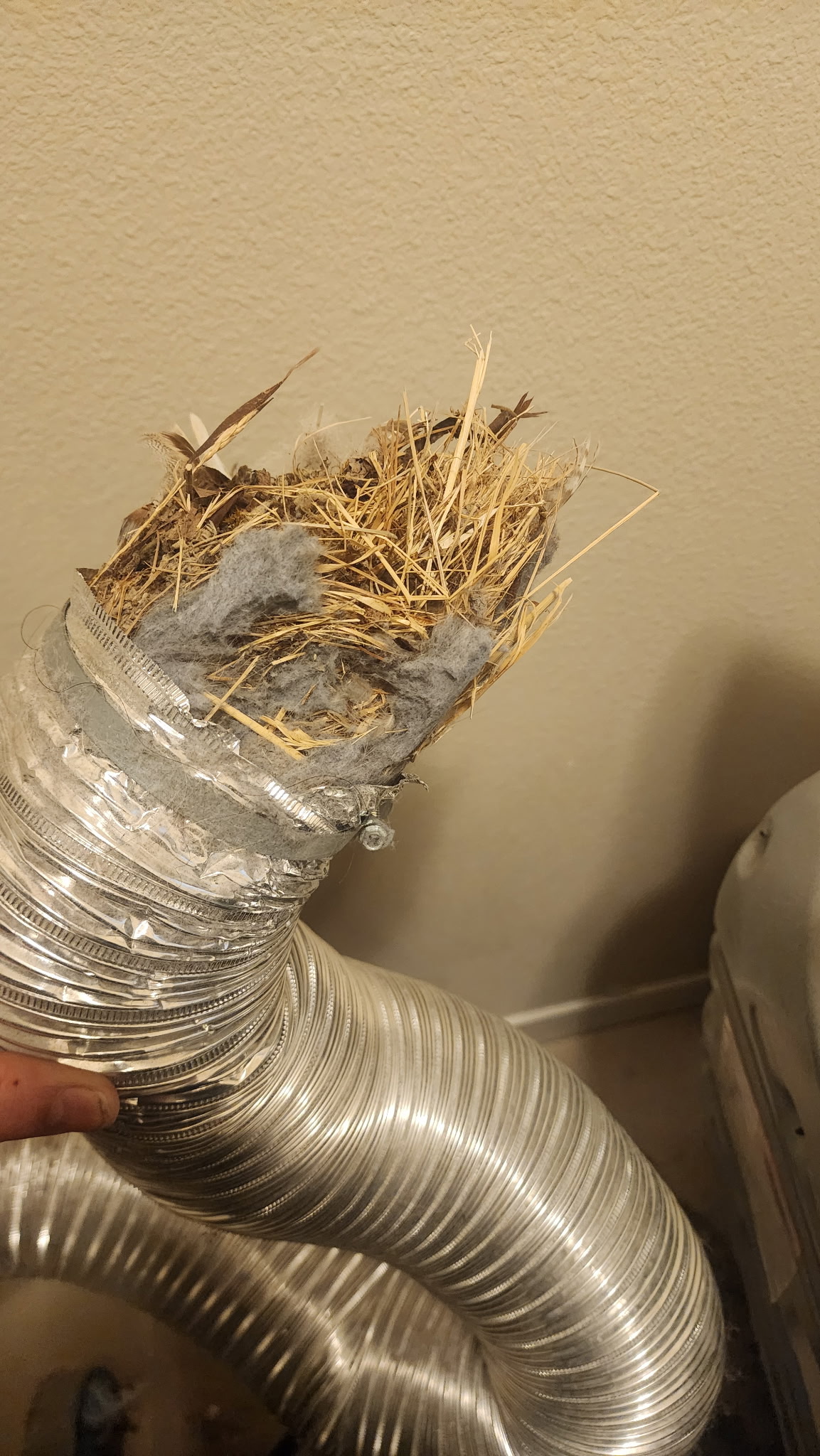 Clogged dryer vent hose documented during a Knapp's service call in the Portland area.
